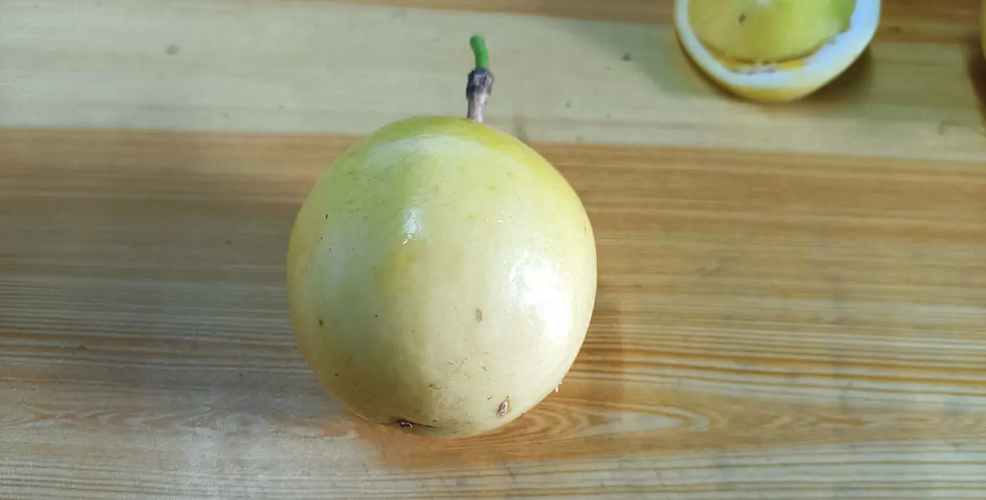 黄金百香果
